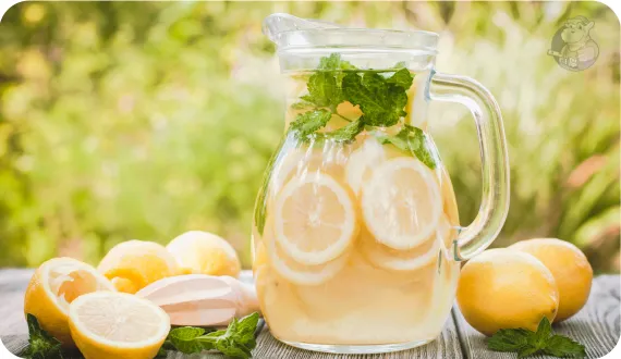 dzbanek lemoniady cytrynowej